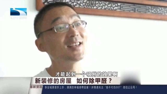 化工学院教授告诉你除甲醛原理,活性炭和绿植要大量才有效果