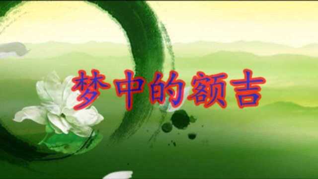 忍不住掉眼泪的歌曲《梦中的额吉》歌词中带伤感,歌声中带思念!