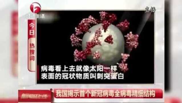 我国揭示首个新冠病毒全病毒精细结构