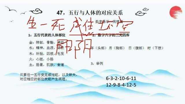 国学易经,五行与人体的对应关系