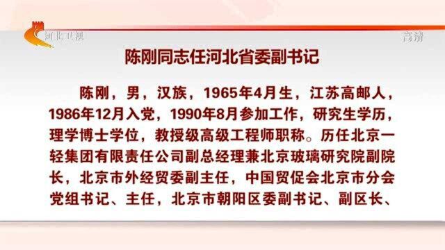 陈刚同志任河北省委副书记 廉毅敏同志任河北省委常委