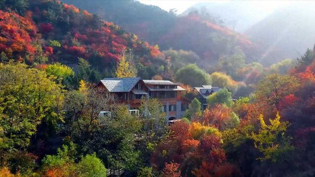 航拍济南九如山秋色:泉润红枫 斑斓如画