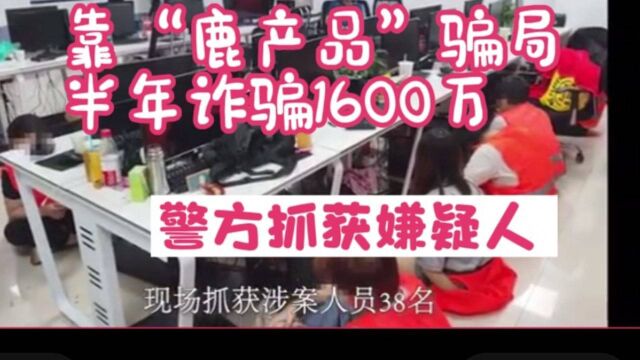 警方抓获诈骗嫌疑人 !靠“鹿产品”骗局半年诈骗1600万