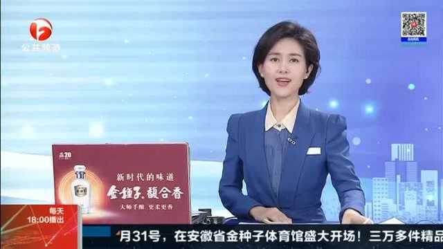 舒城:创业扶贫双驱动 文翁故里大蜕变