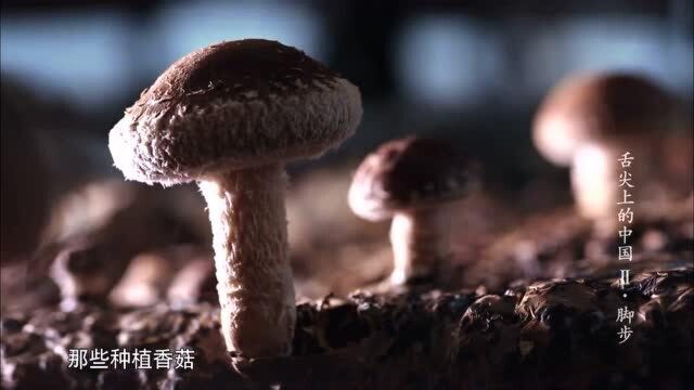 为什么晒干的花菇比湿的要香,答案终于知道了,原来竟是这个原因