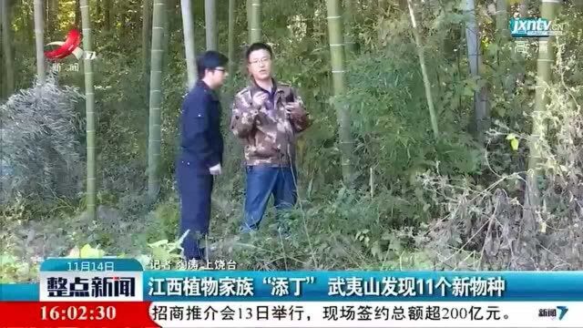 江西植物家族“添丁” 武夷山发现11个新物种