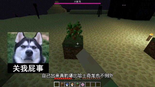 被囚禁的帅哥【第十六集】