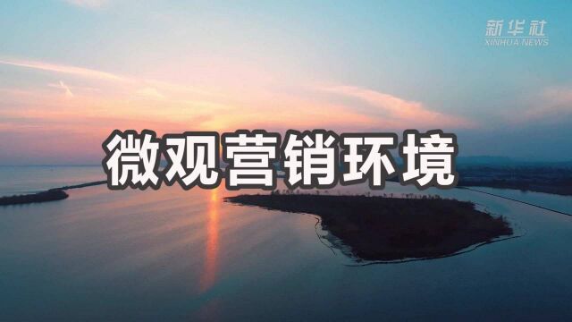 财经小贴士——微观营销环境