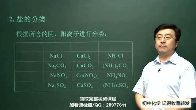 初中化学,生活中常见的盐及经典例题分析,必考例题