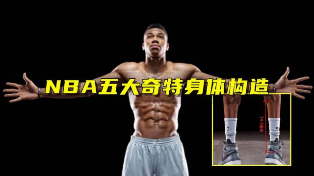 NBA五大奇特身体构造:波什脖子长17cm,字母哥跟腱比正常男性长1倍