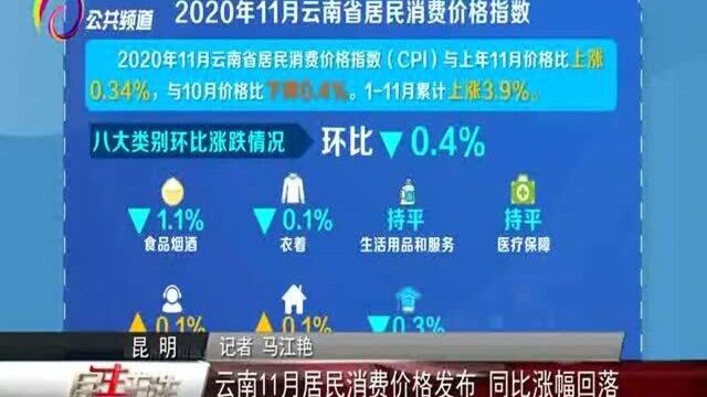 云南11月居民消费价格发布,同比涨幅回落