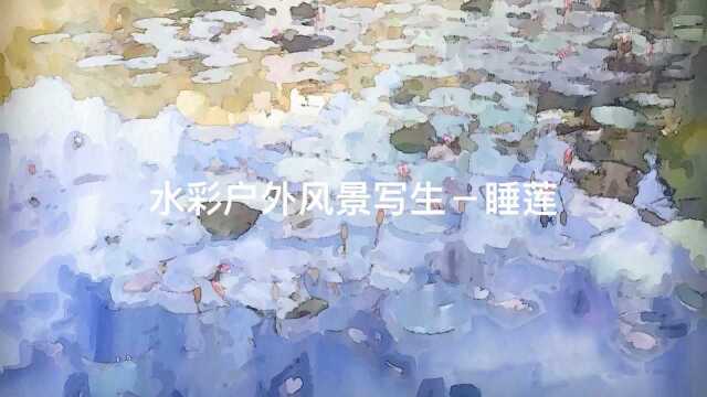 水彩户外风景写生睡莲