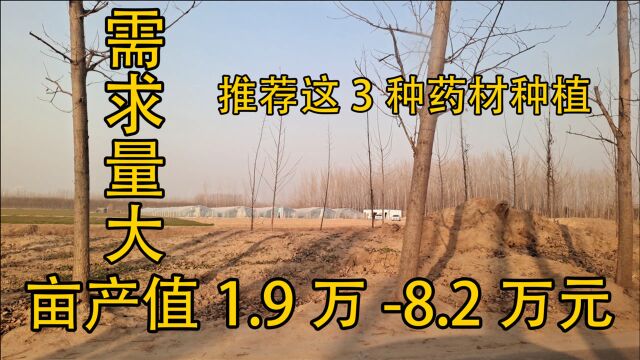 这3种药材市场需求最大,亩产值1.9万8.2万元,农民放心种植