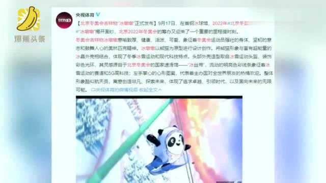 “冰墩墩”来了!北京冬奥会吉祥物“冰墩墩”正式发布