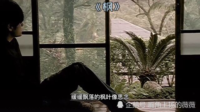 第17首《枫》