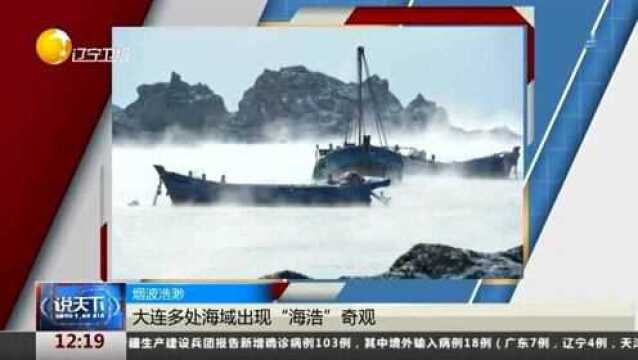 大连多处海域出现“海浩”奇观