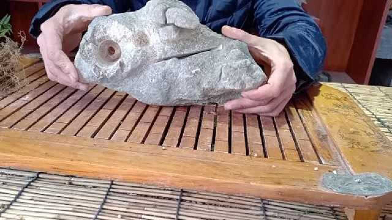 愚夫盆景盆景是我国优秀的传统文化那么怎么把盆景账号做好呢