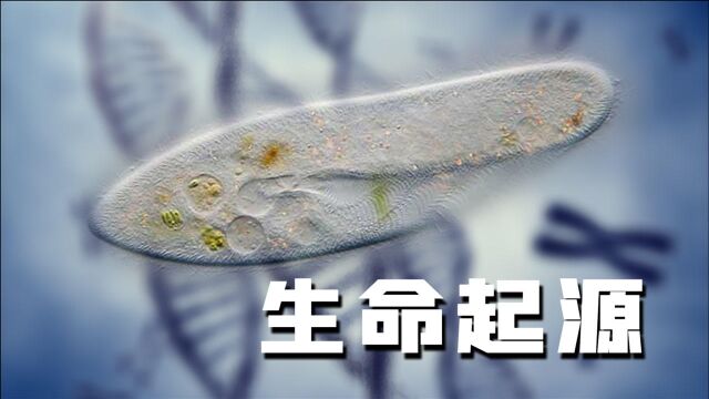 地球生命是如何起源的?科学家发现重要物质,第一个DNA由它合成