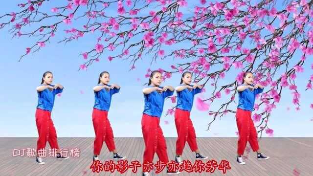 安其尔一曲《浪迹天涯》DJ何鹏版,好听极了