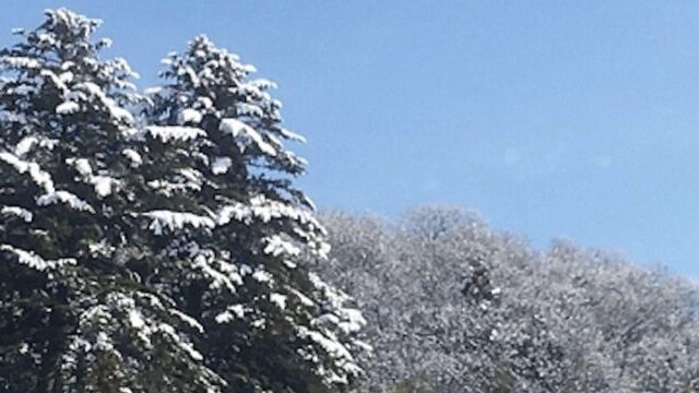 漫话诗词丨沐浴在二月的“雪の华”里一同盼春来