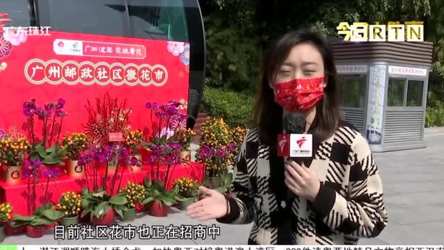 广州“一区多点”办花市 实现线上购花