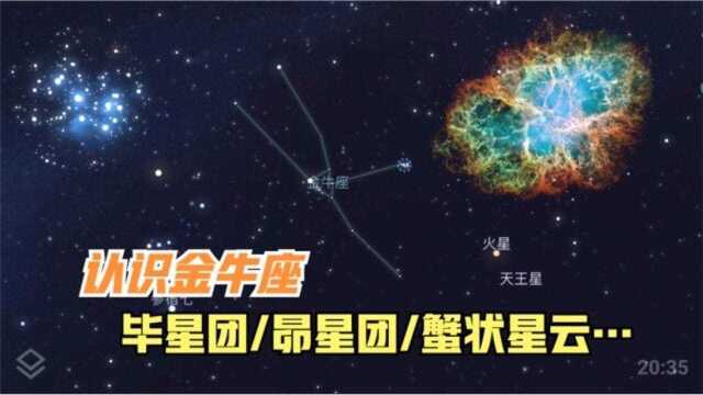 牛年说“牛”,认识一下金牛座和其内部著名天体