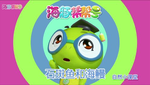 海豚帮帮号 第二季 海豚帮帮号第二季:自然小课堂-石斑鱼和海鳗_高清
