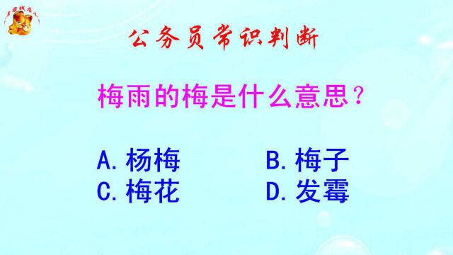 公务员常识判断,梅雨的梅是什么意思?难倒了学霸