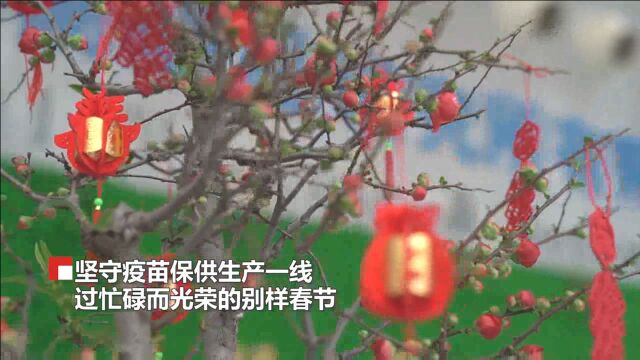 国药中国生物北京生物制品研究所员工春节期间坚守疫苗保供生产一线