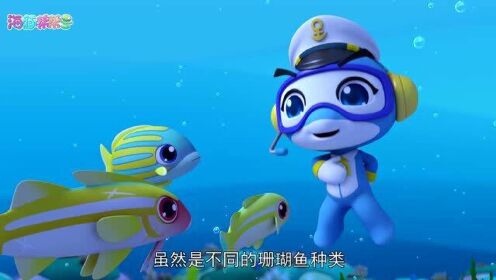 海豚帮帮号第二季:自然小课堂-拟羊鱼和蓝纹鲷鱼