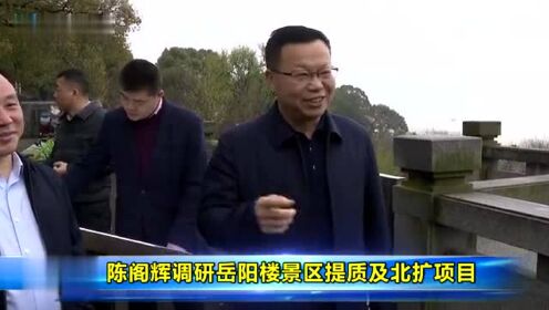 陈阁辉调研岳阳楼景区提质及北扩项目_高清1080P在线观看平台_腾讯视频