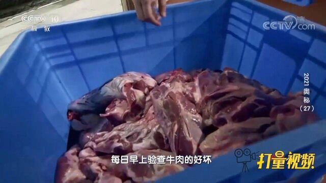 受气牛肉制作讲究,原材料一定要选用谷物牛,大厨教你挑选