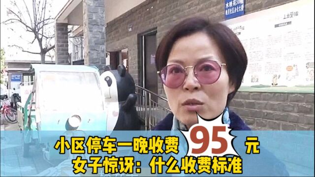 小区内停车一晚上收费95元,女士:这是什么收费标准