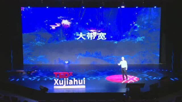 5G是一颗聪明的核桃|孙文|TEDxXujiahui