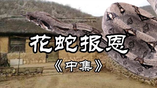 民间故事《花蛇报恩》中集