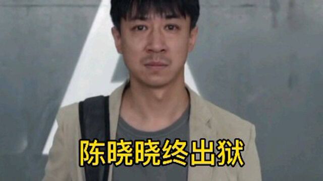 浪子回头 陈晓晓获减刑终出狱