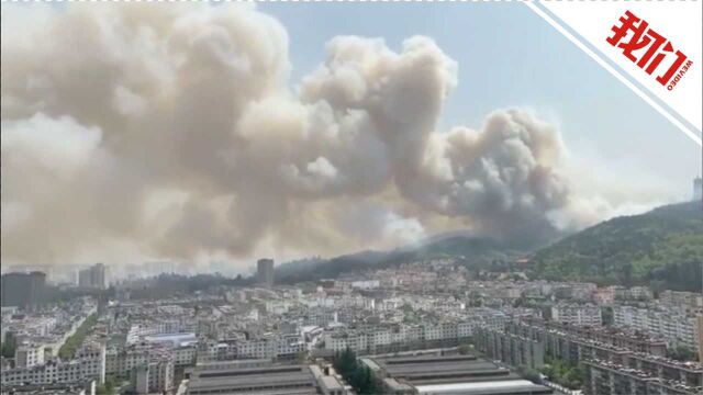 云南曲靖一公园突发山火:火场不断扩张 滚滚白烟笼罩城市上空