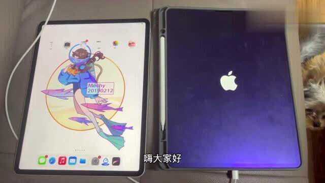 Ipad白苹果死机怎么办?一招教你解决