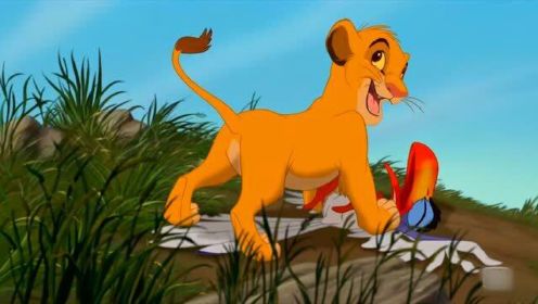 狮子王1：刀疤叔故意让小狮子去危险的地方，为了自己能当狮王