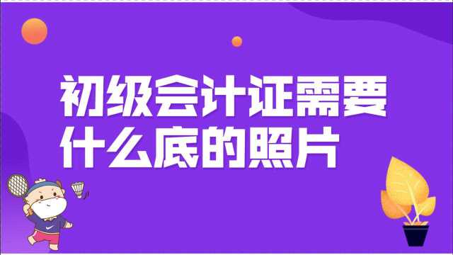 初级会计证需要什么底的照片