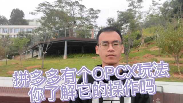 拼多多有个OPCX玩法,你了解它的玩法吗#电商 #创业