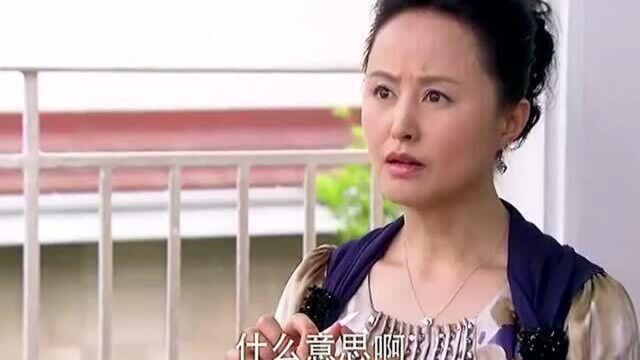 给前儿媳的安抚金被新儿媳和老婆私吞,董事长怒了,艾莉公司被收购!