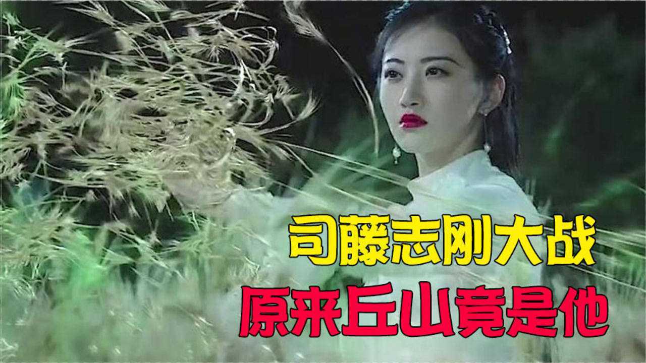 司藤大战志刚现原型丘山竟是他