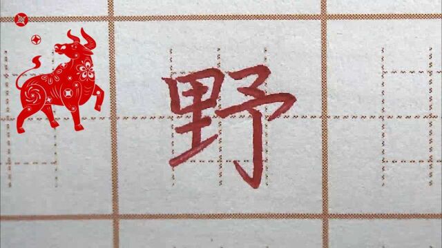 真系野二年级生字:野,硬笔书法练字正楷字字帖写字