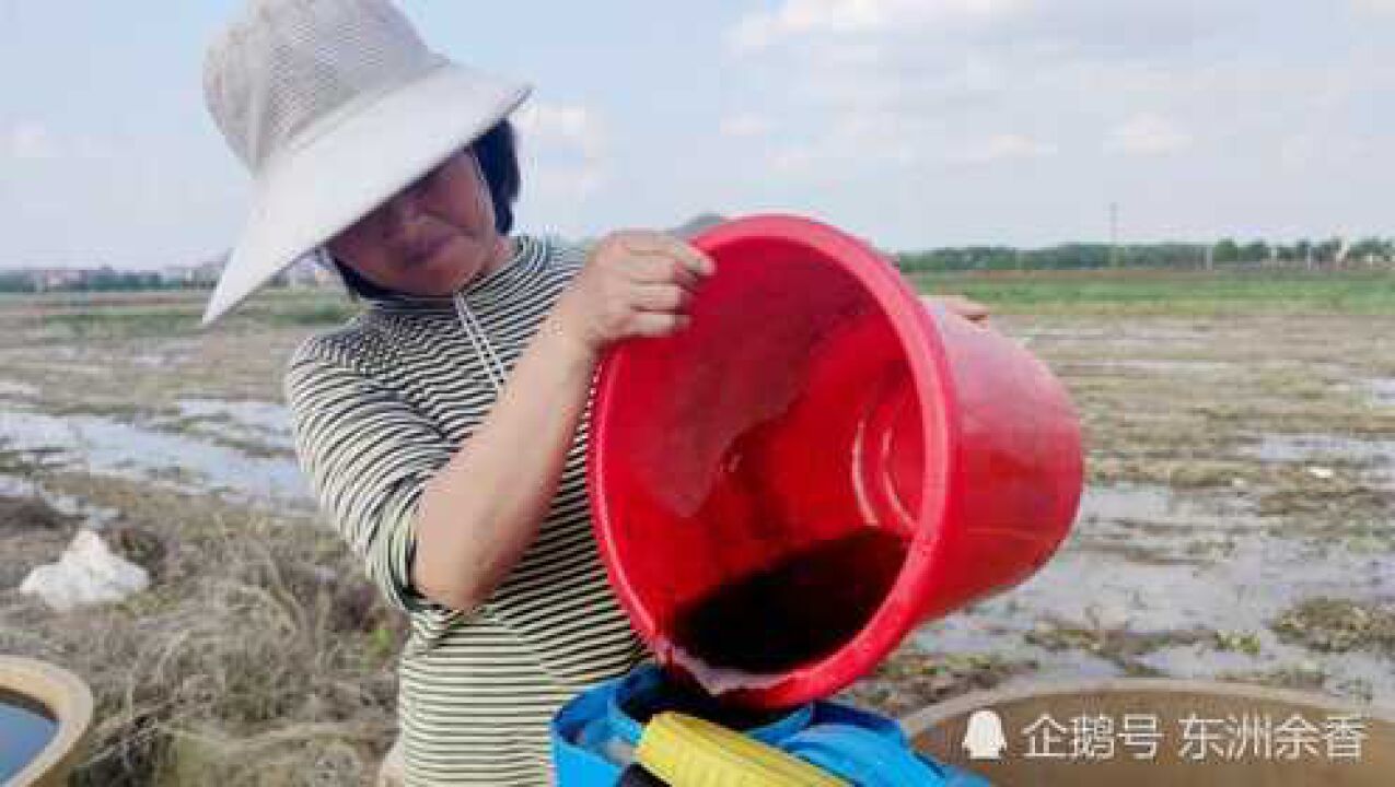 农村留守妇女在家也可以务工,每天可挣70元