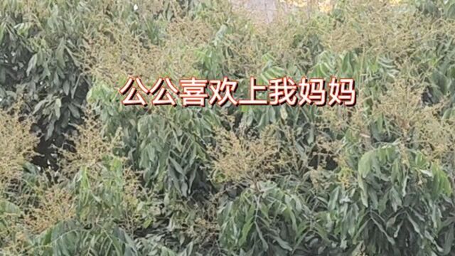 民间故事巜公公和我妈妈 》