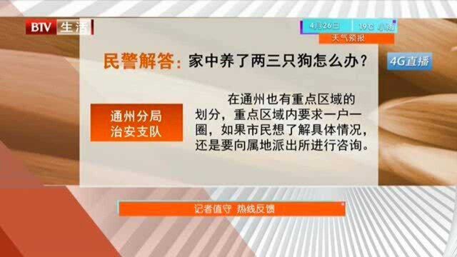 市场监管在行动 丰台查获假冒白酒百余瓶 涉及品牌7个