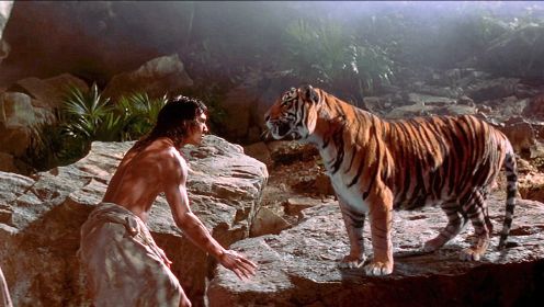 男孩驯服森林中的凶猛老虎，成为森林之王，奇幻动物电影