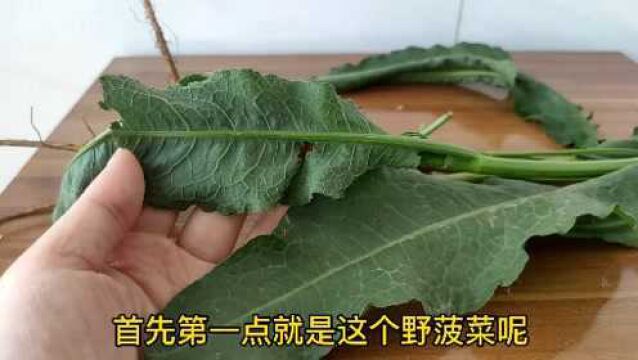 野菠菜别名“土大黄”,原来好处这么大,有啥珍贵?望你重视