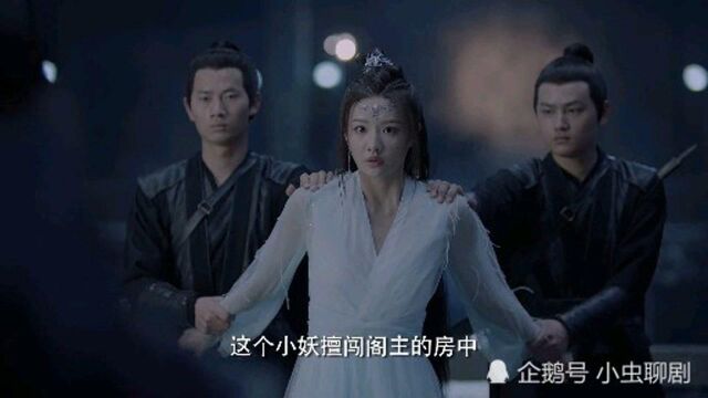 遇龙:小青鸟为了去除流星痕勇闯罗丰阁,却被阁主捉住罚作婢女一百年